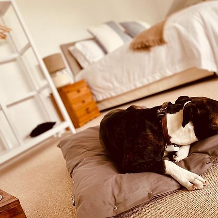 The Ventnor Annex Bed & Breakfast Luaran gambar